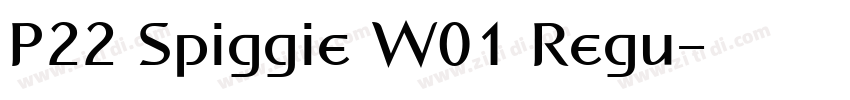 P22 Spiggie W01 Regu字体转换